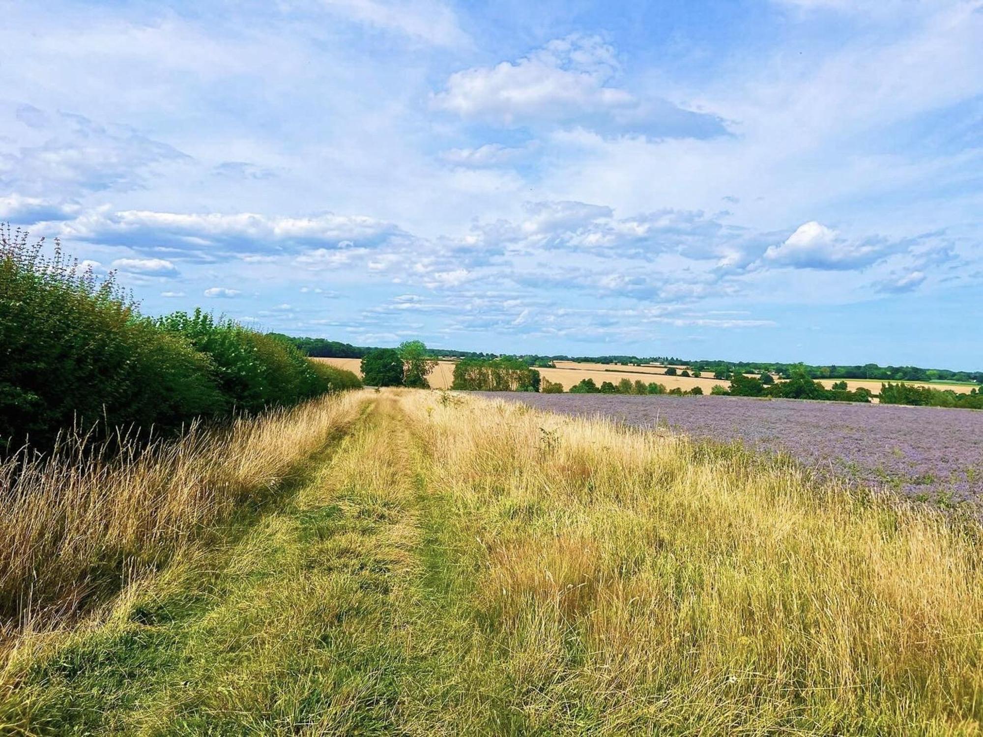 Вілла River House Kersey Екстер'єр фото